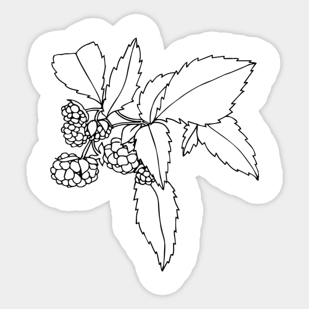 Raspberries Sticker by themintgardener